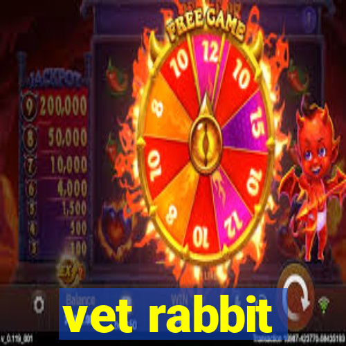 vet rabbit